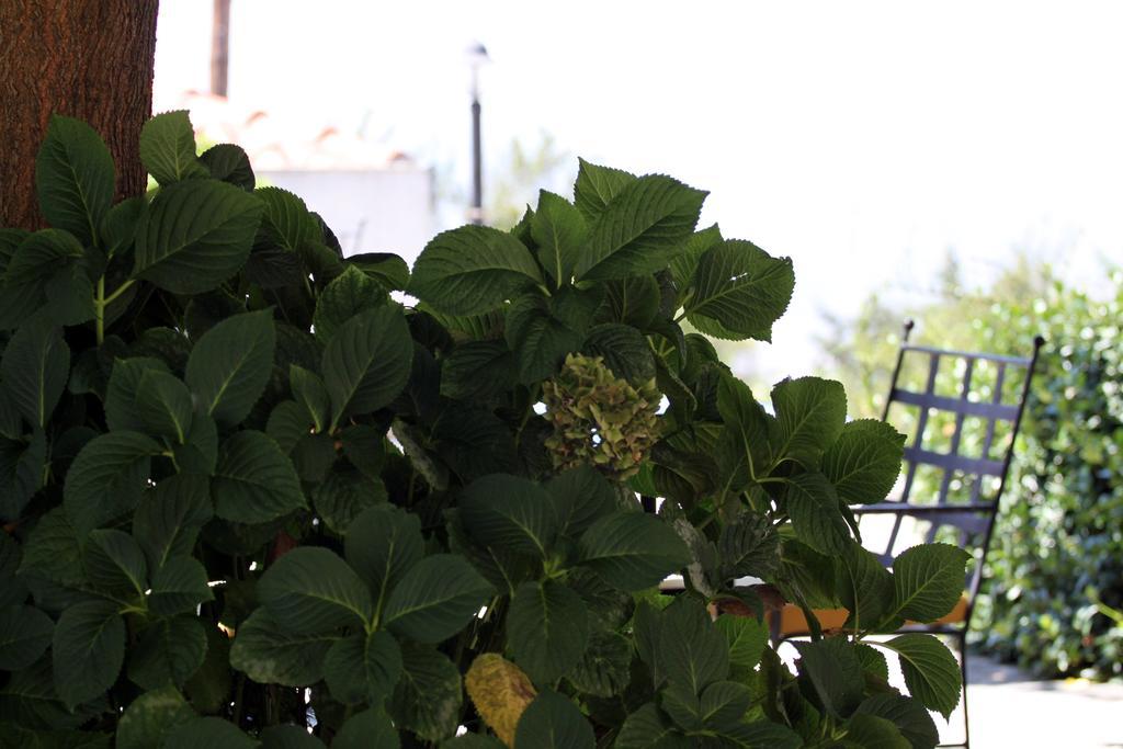Guesthouse Kolenti Portaria  Bagian luar foto