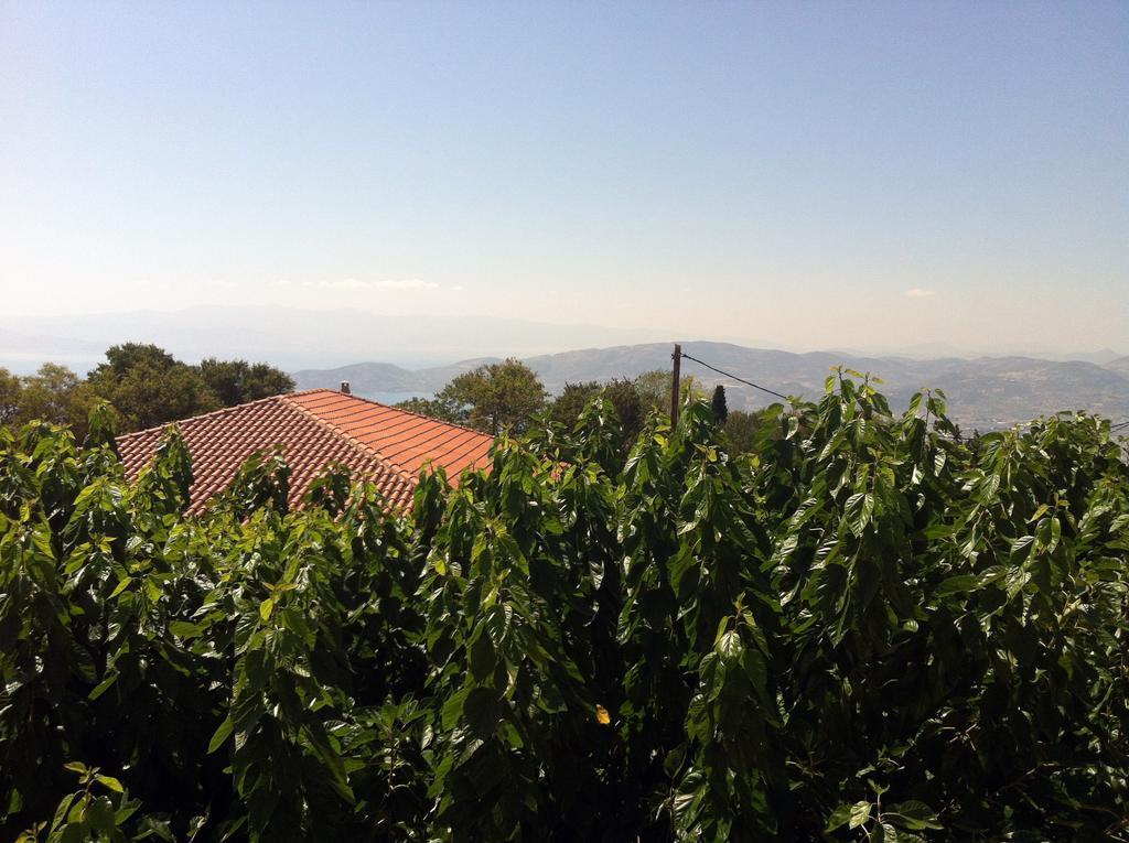 Guesthouse Kolenti Portaria  Bagian luar foto